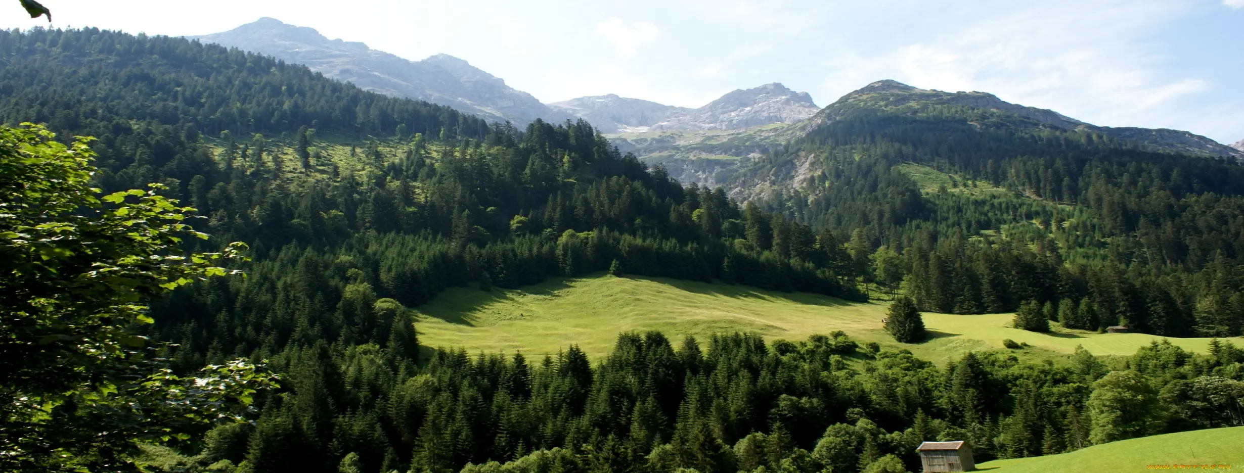 Image for Natural Beauty